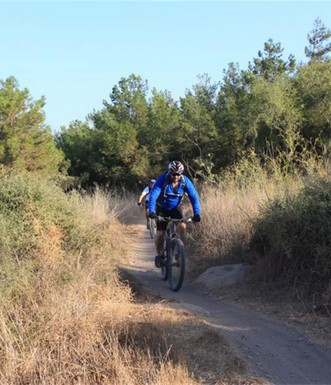 רוכב אופניים ליד חניון השיזף העתיק. צילום: יעקב שקולניק