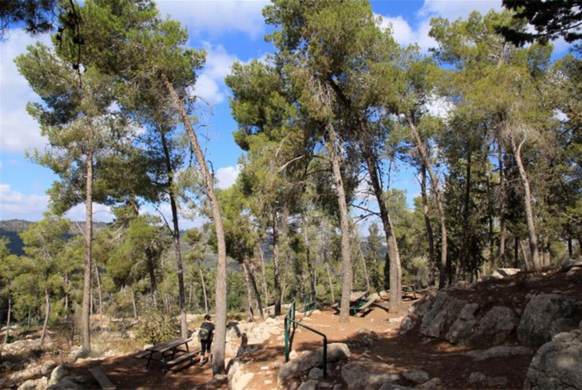 פינת מרגוע על שם אינגריד ברגמן. צילום: יעקב שקולניק