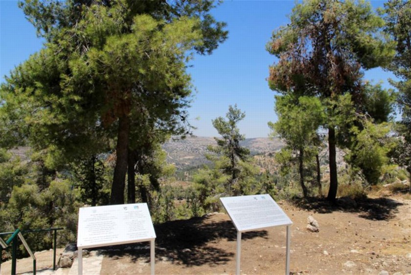 גבעת כרם (ח'ירבת חמאמה). צילום: יעקב שקולניק