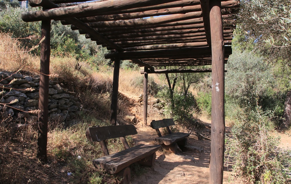 המצללה. יופי של מקום למנוחה. צילום: יעקב שקולניק, ארכיון הצילומים של קק"ל