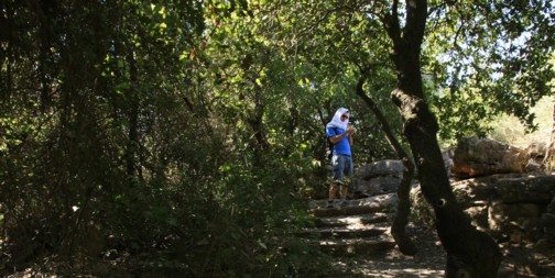 שביל החורש. צילום: יעקב שקולניק