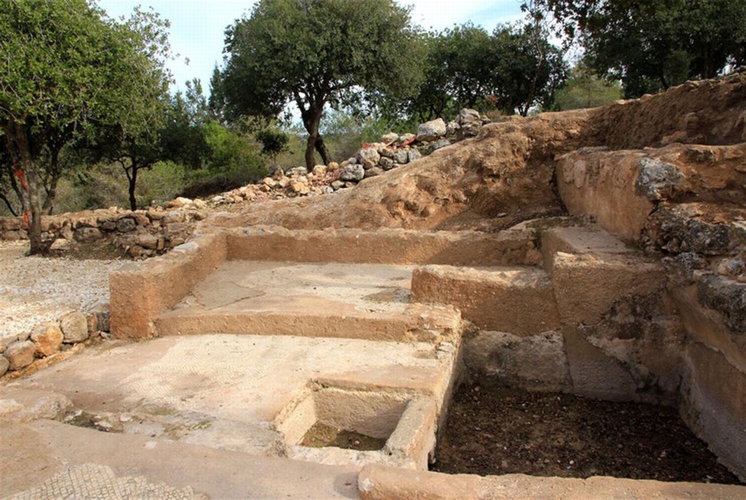 שמטחי דריכה בגת. צילום: יעקב שקולניק