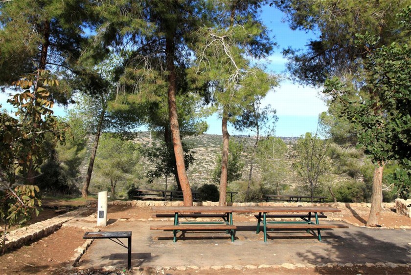 שולחנות פיקניק נגישים. צילום: יעקב שקולניק