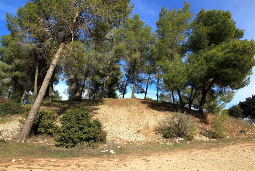 קבר גוליית. צילום: יעקב שקולניק