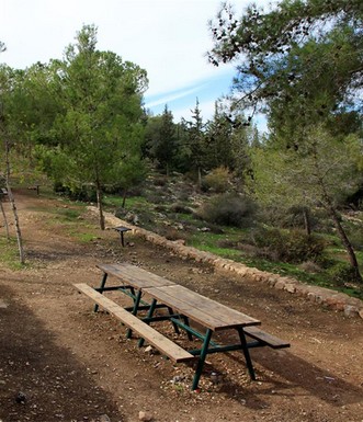 שולחנות פיקניק. צילום: יעקב שקולניק