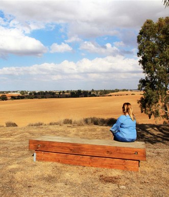 ספסל במצפור. צילום: יעקב שקולניק