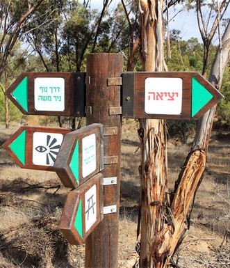 שלט הכוונה ביער. צילום: יעקב שקולניק