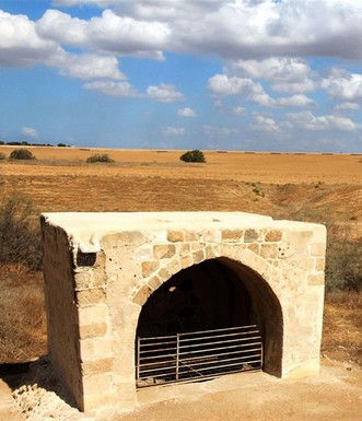 באר הדקלים לאחר שיפוצה. צילום: יעקב שקולניק
