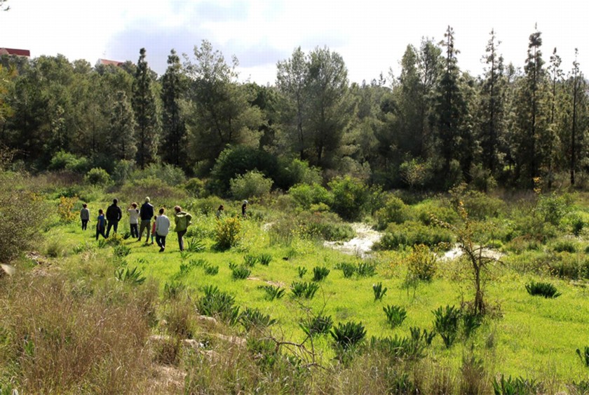 מטיילים ביער. צילום: יעקב שקולניק
