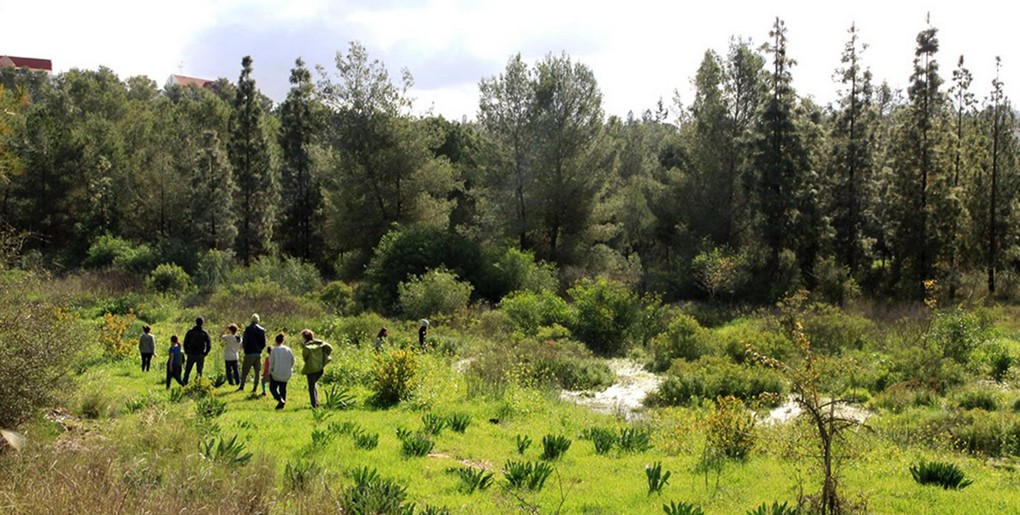 מסלול יער ראש העין