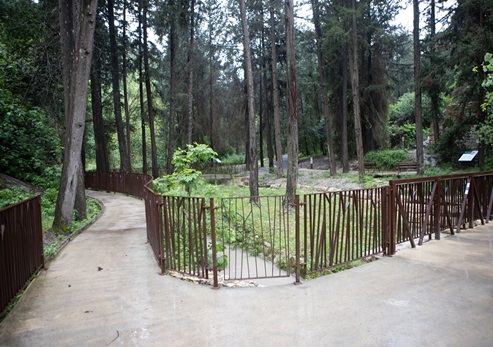 השביל הנגיש בנחל השופט