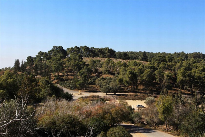 תל צרעה - מבט ממצפור צרעה. צילום: יעקב שקולניק