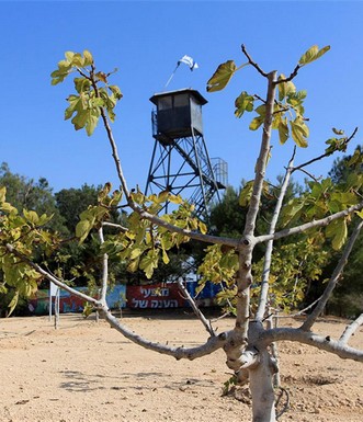 מגדל התצפית במבט מהבוסתן. צילום: יעקב שקולניק