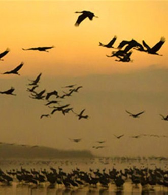 שקיעה באגמון. צילום: יוסי אשבול, ארכיון הצילומים קק"ל