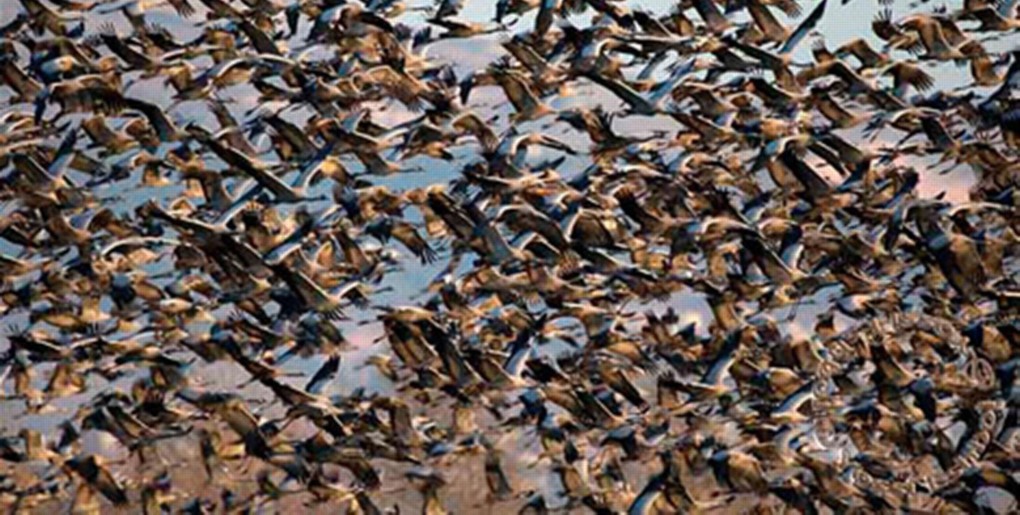 מסלול טיול חורף לאגמון החולה קק"ל. צילום: יוסי אשבול, ארכיון הצילומים קק"ל