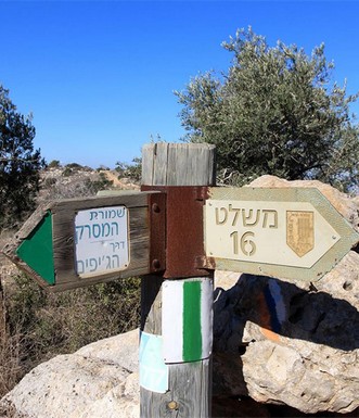 שלט הכוונה במסלול. צילום: יעקב שקולניק