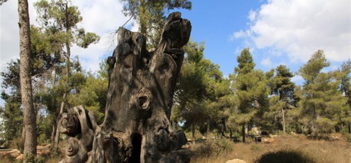 גזע עץ מפוסל שיצרו תושבי הר אדר ביער. צילום: יעקב שקולניק