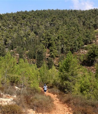 השביל במורד לקרית ענבים צילום: יעקב שקולניק