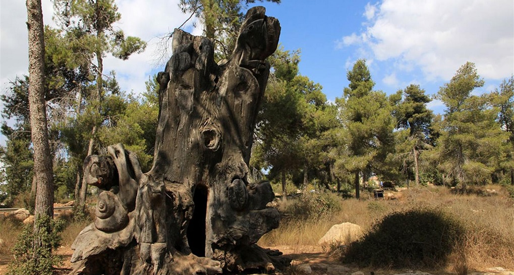 גזע עץ מפוסל שיצרו תושבי הר אדר ביער. צילום: יעקב שקולניק