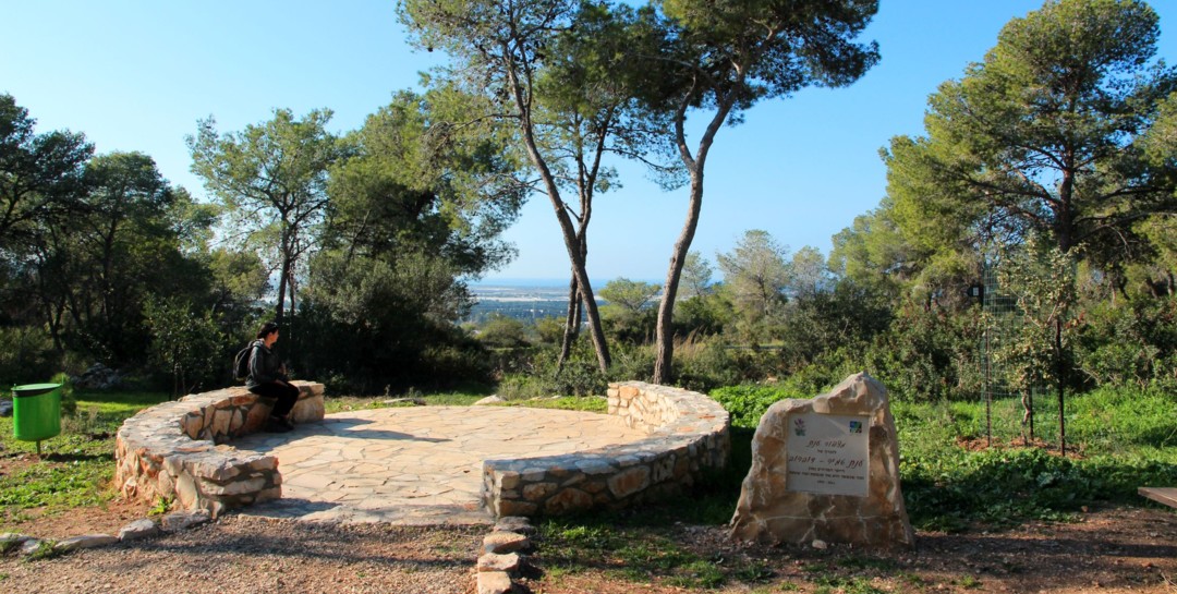 מצפור ענת טמיר, בדרך למצפה עופר. צילום: יעקב שקולניק