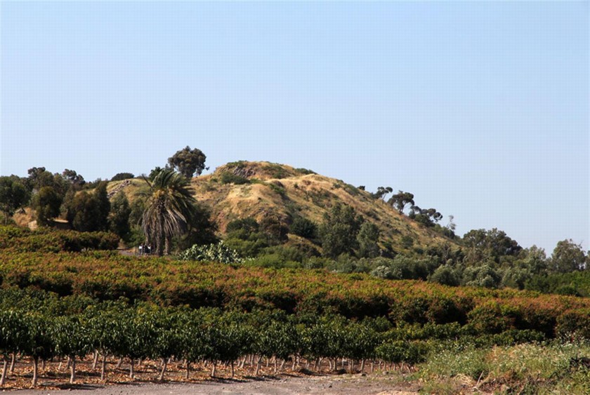 תל קדש. ממבט ממצפה התמר. צילום: יעקב שקולניק