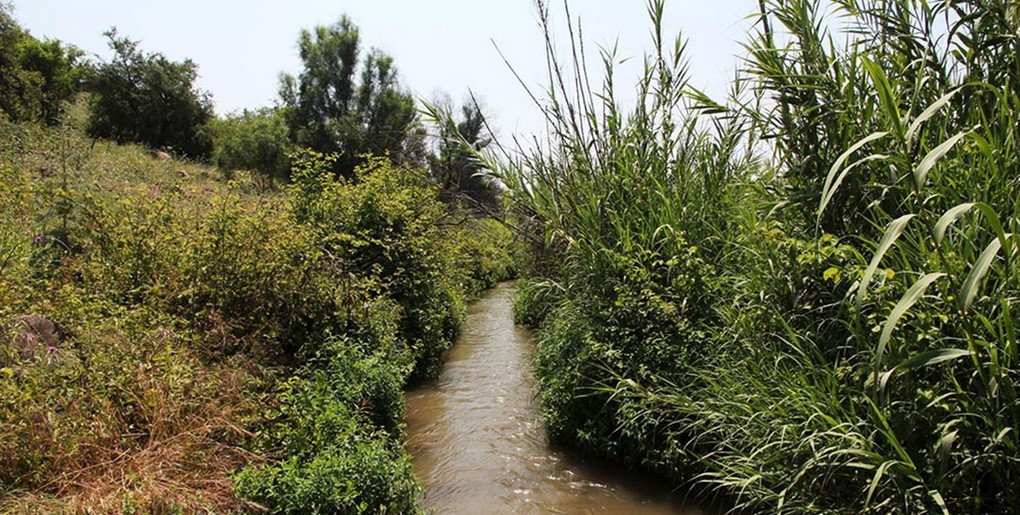 מסלול אמות המים בפארק הירדן. צילום: יעקב שקולניק