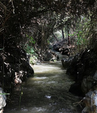 מפעם לפעם יש קטעי אמה מוצלים. צילום: יעקב שקולניק