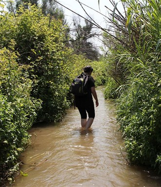 אמת המים עטורה בצמחייה. צילום: יעקב שקולניק