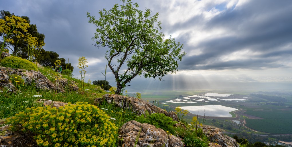 מסלול דרך נוף הרי נפתלי. צילום: אילן שחם, ארכיון הצילומים של קק"ל