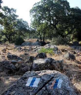 המסלול חופף בחלקו לשביל ישראל. צילום: יעקב שקולניק