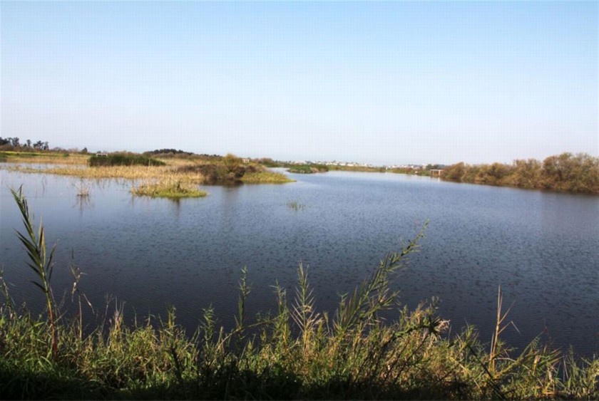 אגמון חפר. צילום: יעקב שקולניק