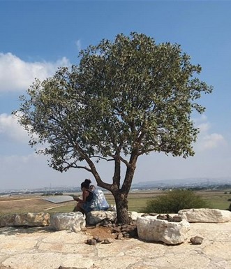 מצפור שוקה דורפמן בתל אשקף. צילום: יעקב שקולניק