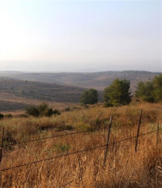 תצפית מחורבת כרוע. צילום: יעקב שקולניק