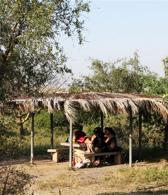 שולחן פיקניק. צילום: יעקב שקולניק