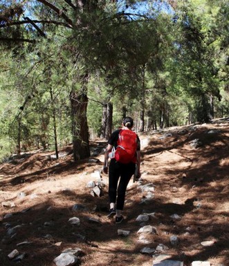 השביל אל החלמוניות. צילום: יעקב שקולניק