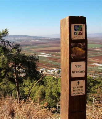 שלט הכוונה. צילום: יעקב שקולניק