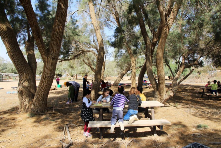חורשת הילדים - בחצבה. צילום: יעקב שקולניק