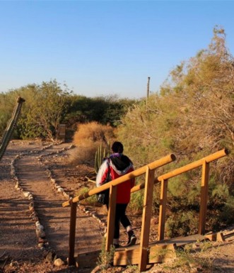 סובב הפארק - מדרגות. צילום: יעקב שקולניק