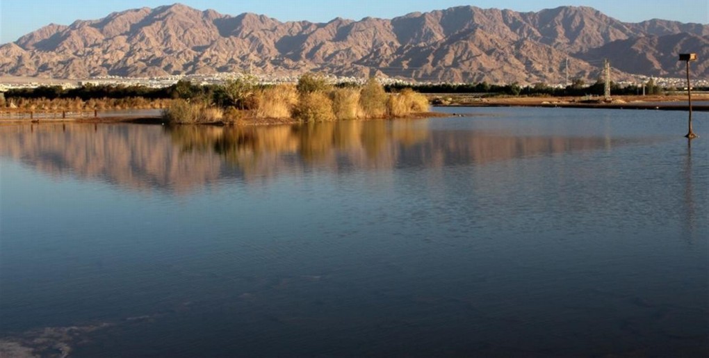תצפית מלח הארץ. צילום: יעקב שקולניק