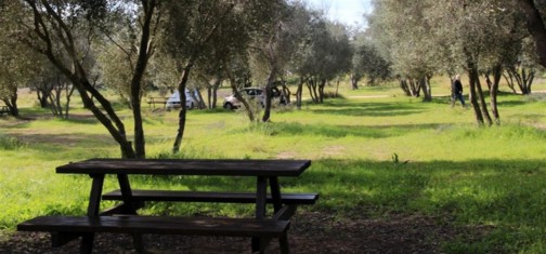 חניון הזיתים. צילום: יעקב שקולניק