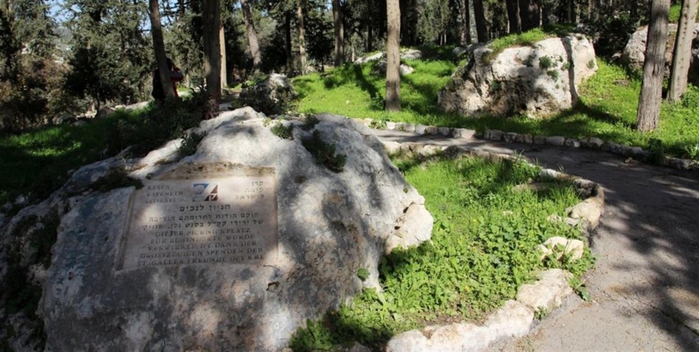 מסלול חניון סנט גאלן ביער הקדושים. צילום: יעקב שקולניק