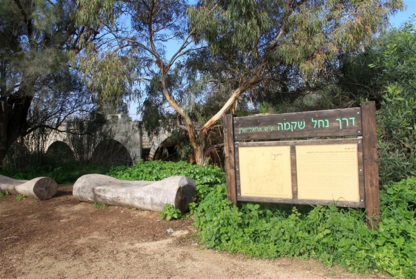 גשר דיר סנייד. צילם: יעקב שקולניק