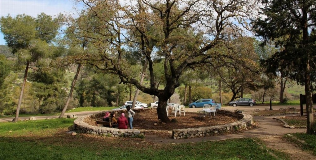 מסלול שביל הטרשונים ביער בית קשת. צילם: יעקב שקולניק