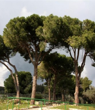 חניון האיצטרובל. צילם: יעקב שקולניק