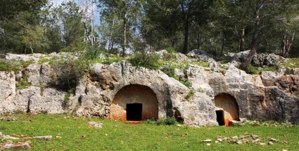 מסלול שביל המערות ביער קרן הכרמל. צילם: יעקב שקולניק