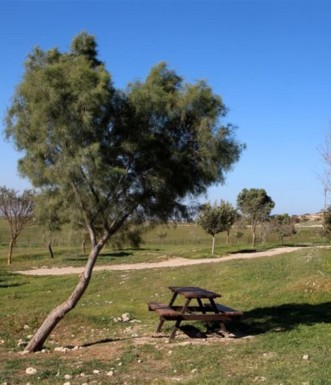 שולחן הפיקניק בבאר זעק. צילם: יעקב שקולניק