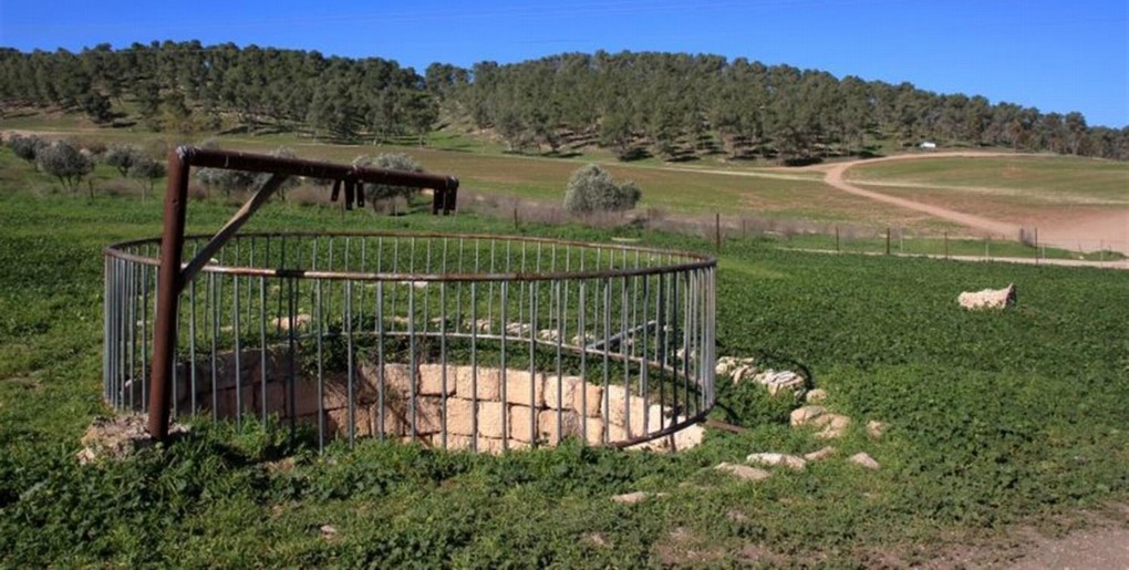 מסלול באר זעק דרום ביער דבירה. צילם: יעקב שקולניק