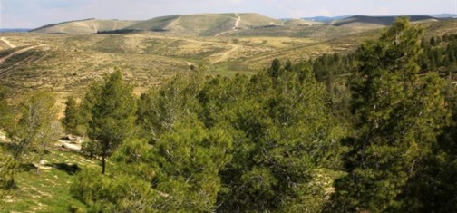 מבט על חורבת חירן ממצפה נעם רוזנטל. צילום: יעקב שקולניק