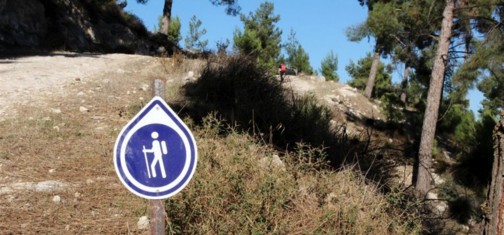 שלט הכוונה במסלול. צילם: יעקב שקולניק