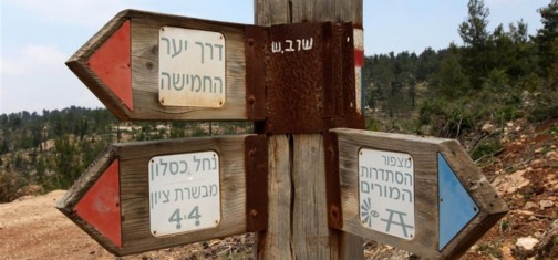 שלטי הכוונה של קקל. צילם: יעקב שקולניק